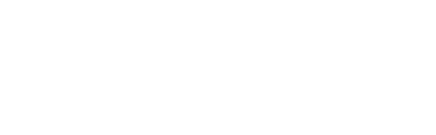 Logo Nexus DL Premium